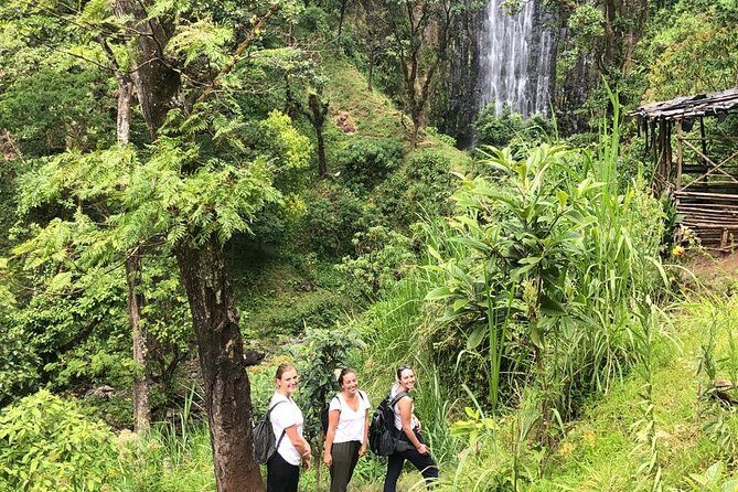 Materuni Waterfalls - The Sum Up: Who Should Book This?