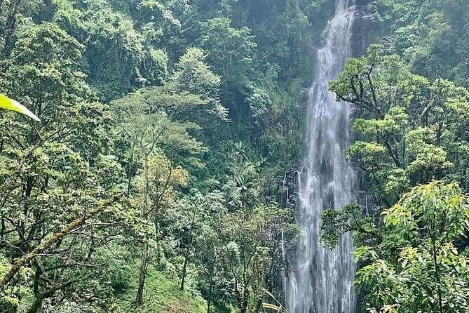 Materuni Waterfalls, Kikuletwa Chemka Hot springs, Coffee tour - The Experience in Detail