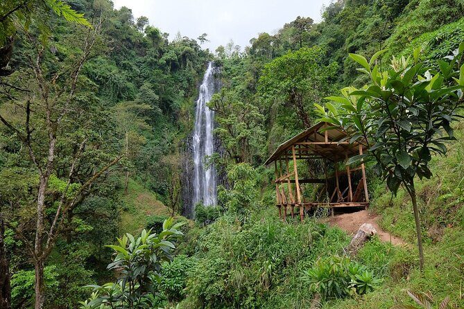 Materuni waterfalls,coffee tour & Kikuletwa(Chemka)Hot Springs - Key Points