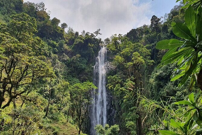 Materuni waterfalls,coffee tour & Kikuletwa(Chemka)Hot Springs - Who This Tour Is Perfect For