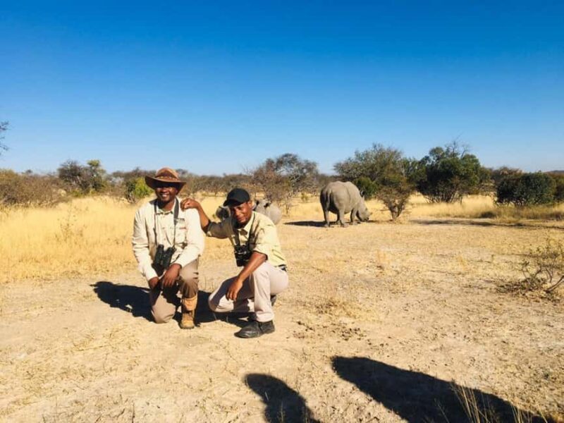 Matobo Hills Day Trip with Rhino Tracking - An In-Depth Look at the Matobo Hills Day Trip