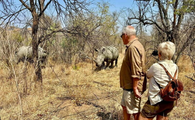 Matobo White Rhino Experience - Key Points