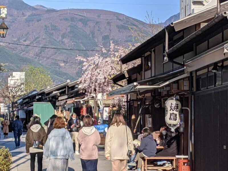 Matsumoto Castle Town Walking Tour - Key Points