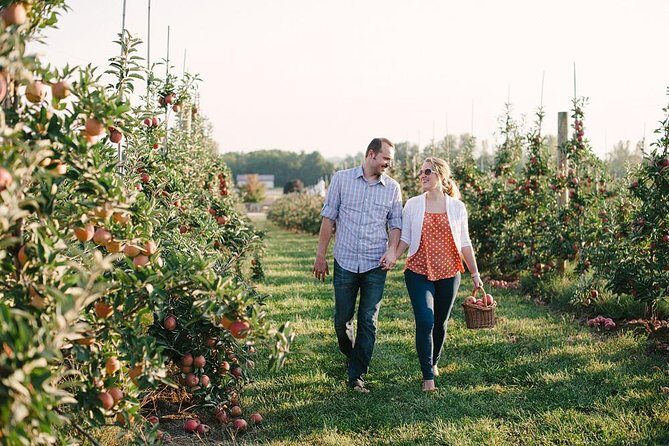 Mattituck Bike Wine Country and Fruit Orchard Tour - Analyzing the Value
