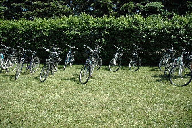 Mattituck Bike Wine Country and Fruit Orchard Tour - The Sum Up