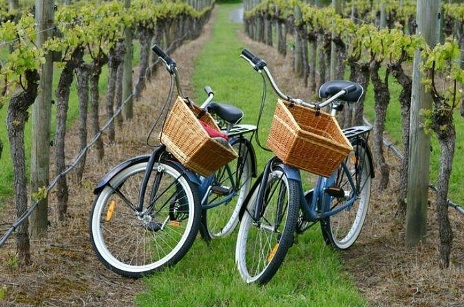 Mattituck New York Guided Farm and Wine Country Bike Tour - Frequently Asked Questions