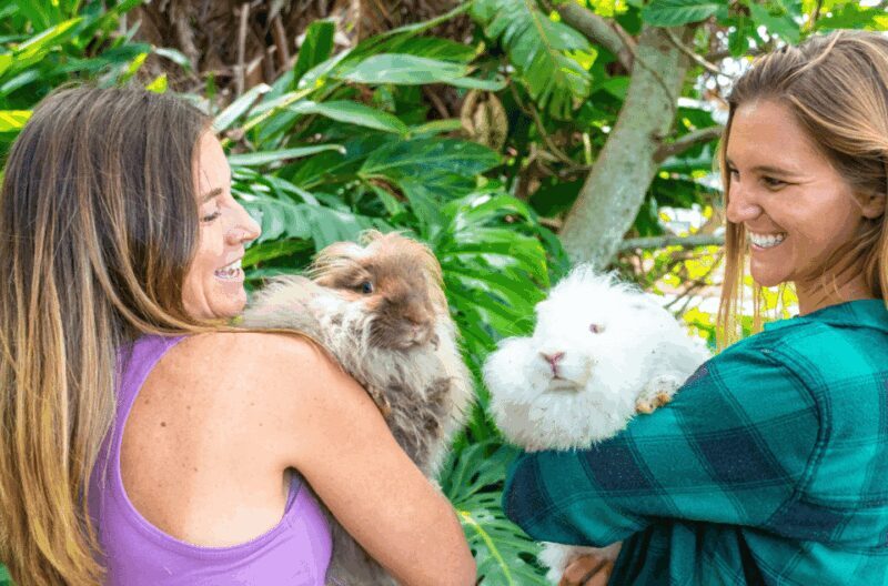 Maui: Alpaca Farm Visit with Hands-On Activities - Final Thoughts: Is It Worth It?