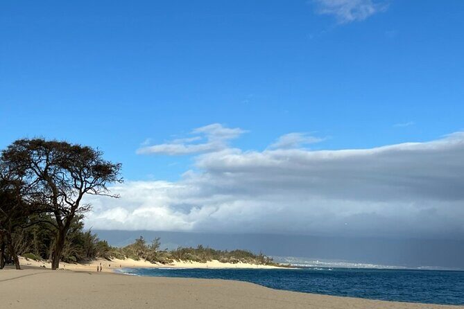 Maui Beach Hop - A Detailed Look at Maui Beach Hop