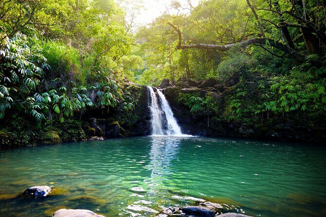 Maui Beach Parks Self-Guided Driving Tour - Exploring Maui’s Beaches at Your Own Pace