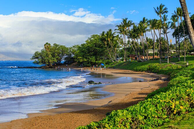 Maui Beach Parks Self-Guided Driving Tour - Who Will Love This Tour?