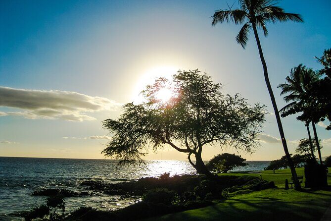 Maui Beach Parks Self-Guided Driving Tour - Frequently Asked Questions (FAQs)