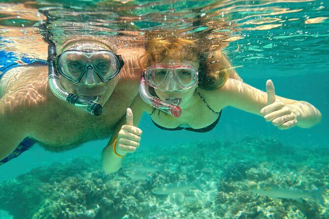 Maui Beach Shoreline Snorkel - Key Points