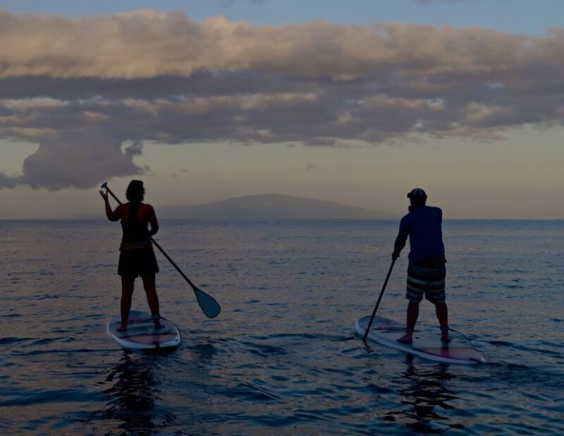 Maui: Beginner Level Private Stand-Up Paddleboard Lesson - Who Will Love This Experience?