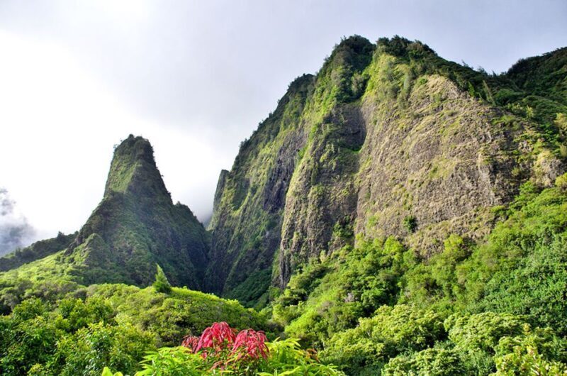 Maui: Best of Maui/Haleakala - Sips, Sites & Bites - Transportation and Group Size