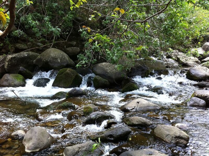 Maui: Best of Maui/Haleakala - Sips, Sites & Bites - Final Thoughts