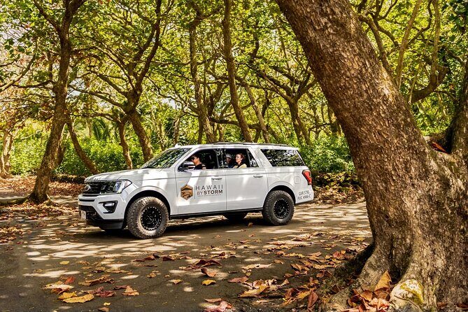 Maui by Storm: Epic Private Luxury Road to Hana Adventure Tour - Frequently Asked Questions