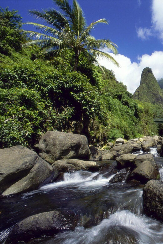 Maui: Custom Elite Tour with Escalade & Meals - The Allure of a Fully Customized Maui Day