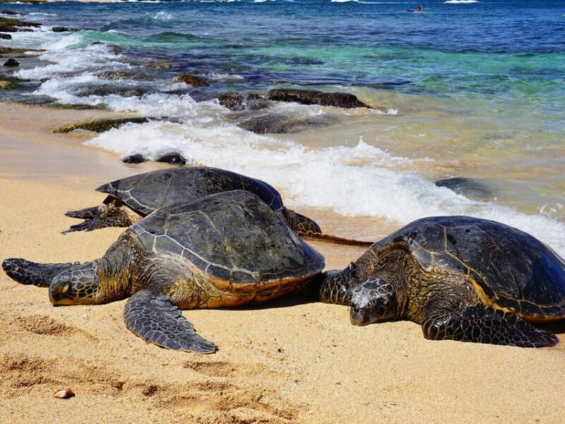 Maui: Custom Elite Tour with Escalade & Meals - The Destinations: Customizable and Scenic