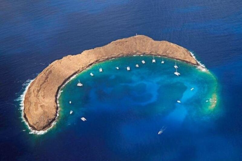 Maui: Deluxe Molokini Snorkel with Breakfast & Lunch - The Vessel and Its Comforts