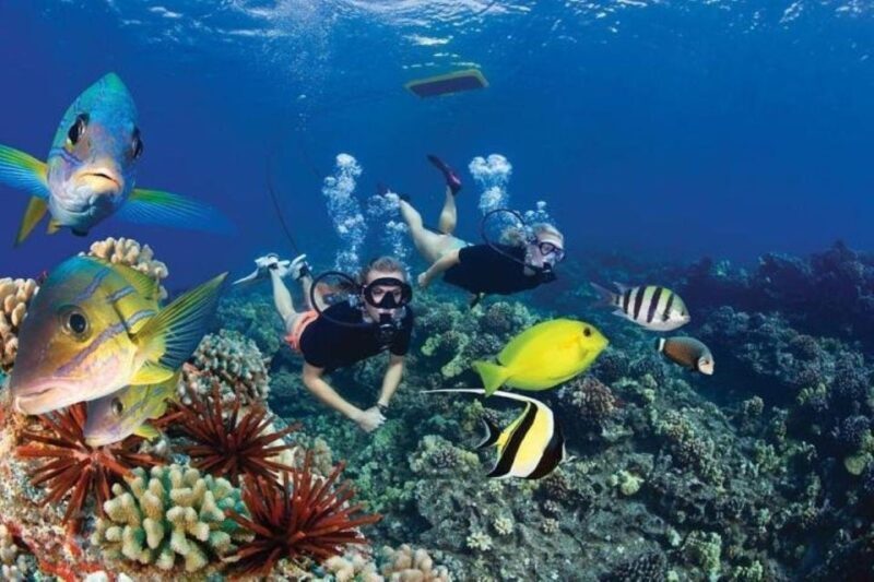 Maui: Deluxe Molokini Snorkel with Breakfast & Lunch - Drinks and Relaxation