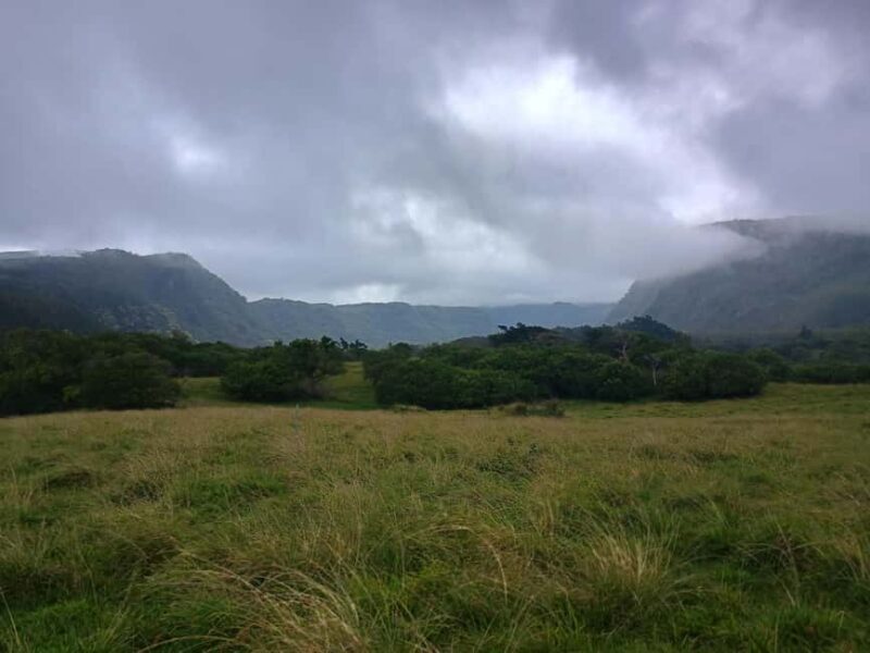 Maui: East Side Hiking Tour - An Honest Breakdown of the Maui: East Side Hiking Tour