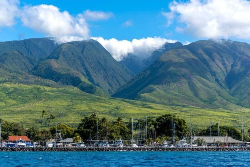 Maui: Eco-Raft Dolphin Watch Tour with Snacks - The Sum Up: Is It Worth It?