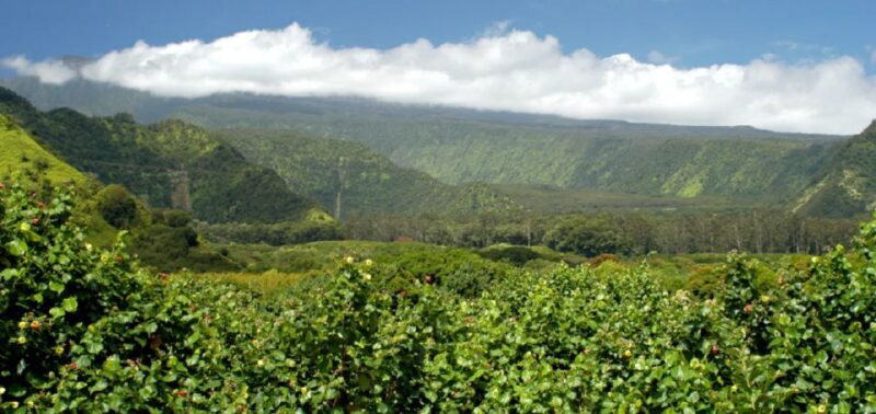 Maui: Full Day Hiking Tour with Lunch - An In-Depth Look at the Tour Experience