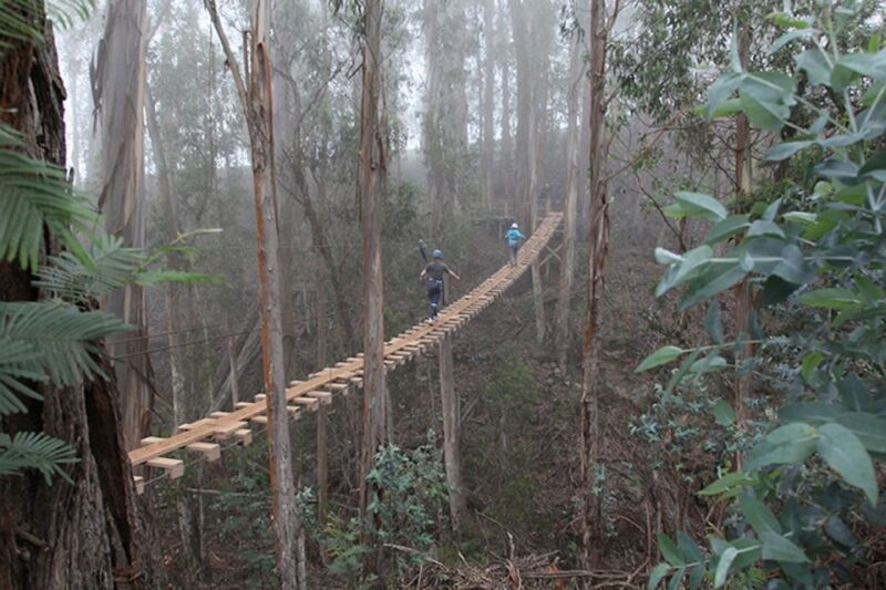 Maui: Haleakala 6-Line Zipline Adventure - Key Points