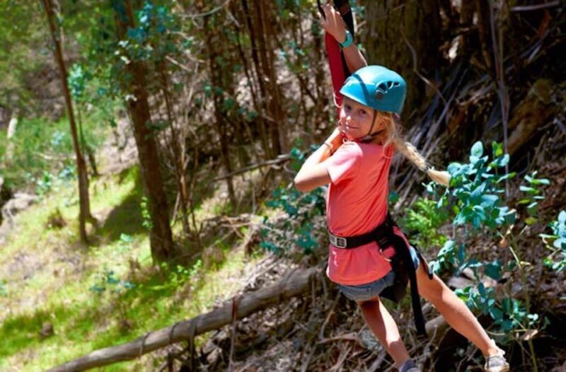 Maui: Haleakala 6-Line Zipline Adventure - Authentic Reviews and Insights