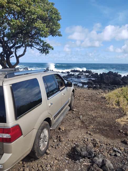 Maui: Halfway to Hana Black Sand Beach & Turtles Tour - Who Should Book This Tour?