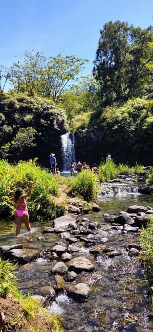 Maui: Halfway to Hana Black Sand Beach & Turtles Tour - FAQ