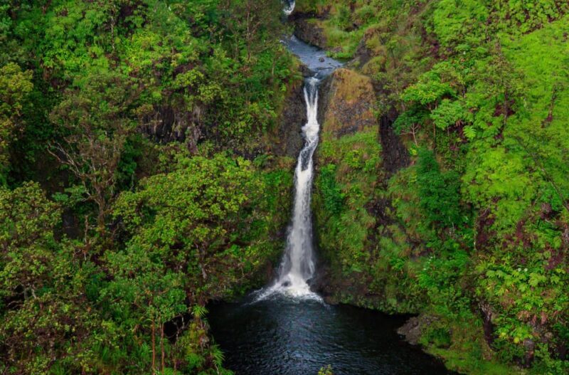 Maui: Hana Rainforest Helicopter Tour - Authentic Feedback from Travelers
