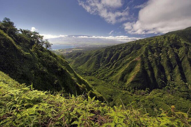 Maui Horseback Adventure at Circle M Ranch With Real Cowboys - Key Points