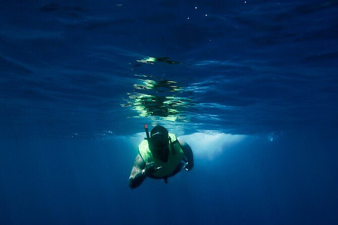 Maui Intimate Luxury Powerboat Private Charter - Who Would Love This Experience?