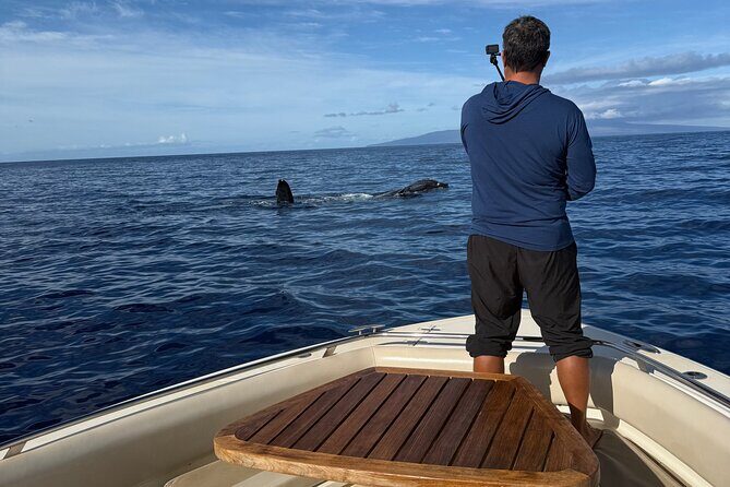 Maui Intimate Luxury Powerboat Private Charter - The Sum Up