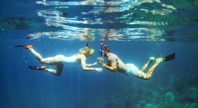Maui: Kaanapali Beach 4-hour Snorkel w/ BBQ Lunch & Open Bar - FAQ