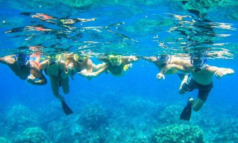 Maui: Kaanapali Beach 5-hr Snorkel w/ BBQ Lunch & Open Bar - Introduction