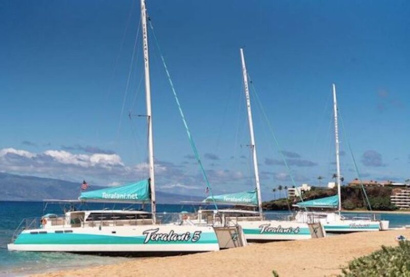 Maui: Kaanapali Dolphin Watching Boat Trip with Lunch - Final Thoughts: Who Should Consider This Tour?