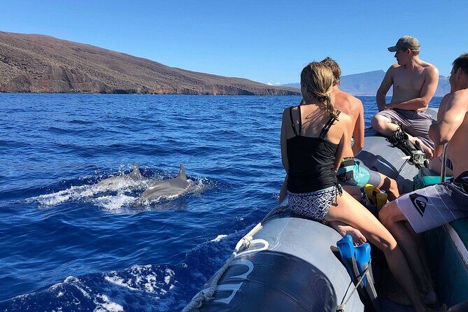 Maui-Lanai EcoRaft Tour: Snorkel or Dolphin Watch (Semi-Private) - The Sum Up: Who Will Love This Tour?