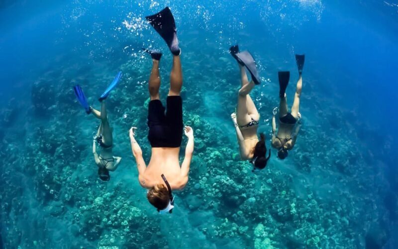 Maui: Luxury Catamaran Turtles & Tacos Snorkel - Introduction: A Snorkeling Cruise with a Taste of Hawaii