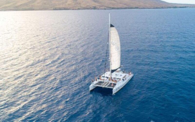 Maui: Luxury Catamaran Whale Watch & Sail - Key Points