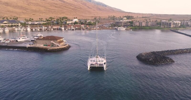 Maui: Luxury Catamaran Whale Watch & Sail - An Authentic Maui Whale Watching Experience