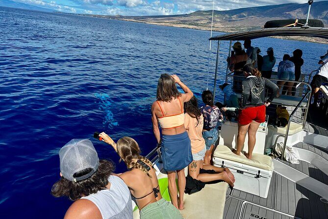 Maui Mid Day Magic Whale Watch - Why This Whale Watch Stands Out