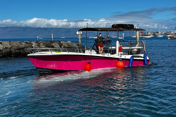 Maui Mid Day Magic Whale Watch - Practical Tips for Your Tour