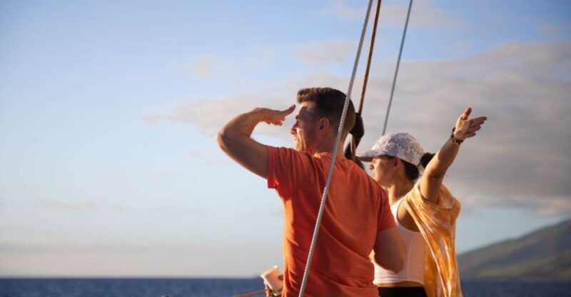 Maui: Morning Sail with the Whales Ma'alaea - Who Will Love This Tour?