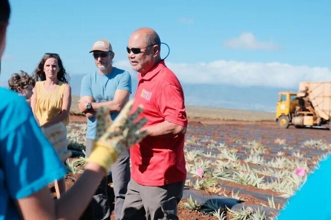 Maui Pineapple Planting Experience - Additional Insights Based on Reviews and Details