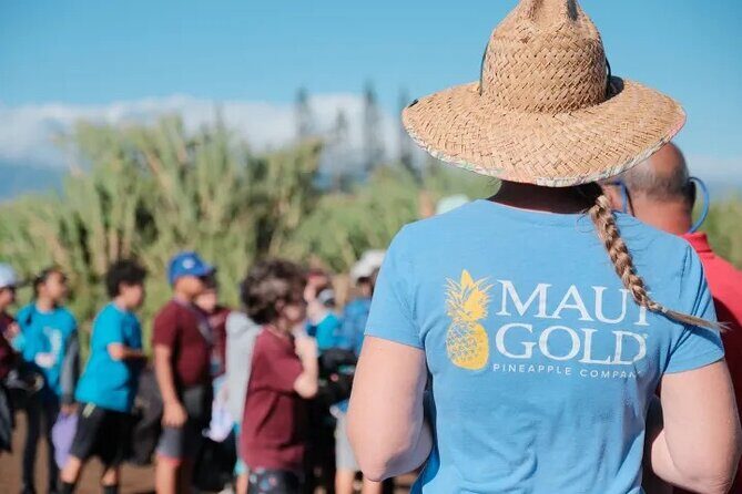 Maui Pineapple Planting Experience - Who Should Consider This Tour?