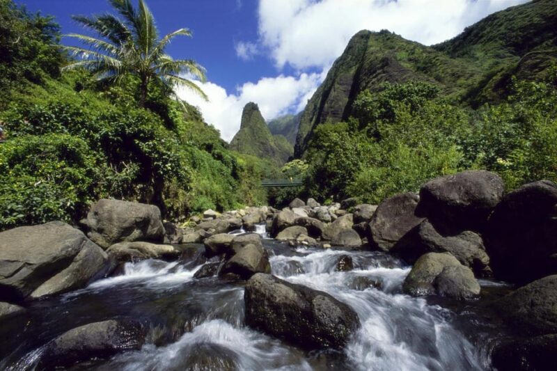 Maui: Private Island Tour with Meals & Snorkeling - Key Points
