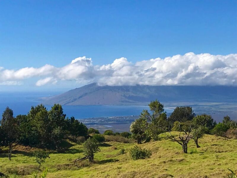 Maui: Private Island Tour with Meals & Snorkeling - An In-Depth Look at the Tour