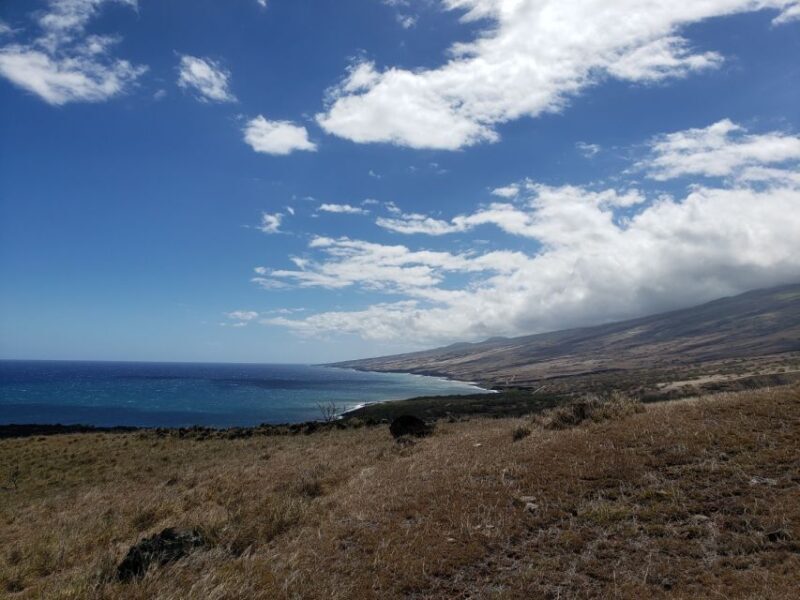 Maui : Private : Road to Hana Day Trip : Just For Your Group - Who Is This Tour Best For?